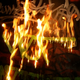 Illustration for article titled Fire Tagging Makes Graffiti a Bit More Dangerous